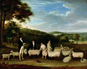 Portrett av Thomas William Coke, Esq. (1752-1842) inspiserte noen av South Down-sauene hans sammen med Mr. Walton og Holkham-gjeterne